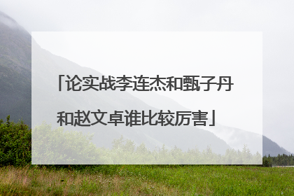 论实战李连杰和甄子丹和赵文卓谁比较厉害