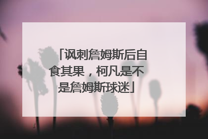 讽刺詹姆斯后自食其果，柯凡是不是詹姆斯球迷