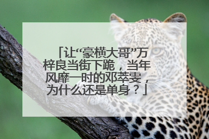 让“豪横大哥”万梓良当街下跪，当年风靡一时的邓萃雯，为什么还是单身？