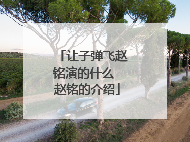 让子弹飞赵铭演的什么 赵铭的介绍