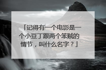 记得有一个电影是一个小豆丁跟两个笨贼的情节,叫什么名字?