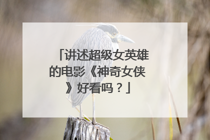 讲述超级女英雄的电影《神奇女侠》好看吗？