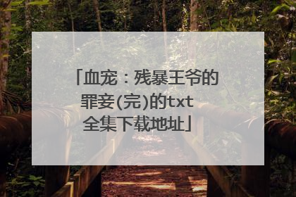 血宠:残暴王爷的罪妾(完)的txt全集下载地址