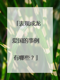 表现成龙爱国的事例有哪些?