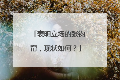 表明立场的张钧甯，现状如何？