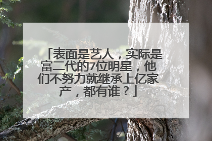表面是艺人,实际是富二代的7位明星,他们不努力就继承上亿家产,都有谁?