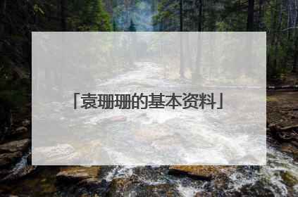 袁珊珊的基本资料