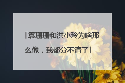 袁珊珊和洪小玲为啥那么像,我都分不清了