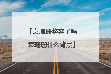 袁珊珊整容了吗 袁珊珊什么背景