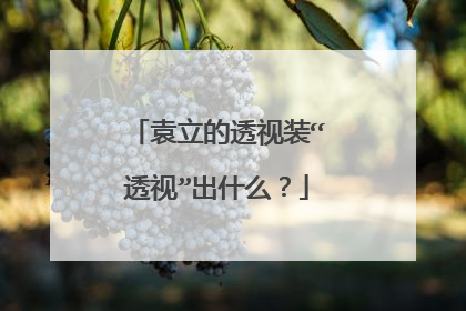 袁立的透视装“透视”出什么?