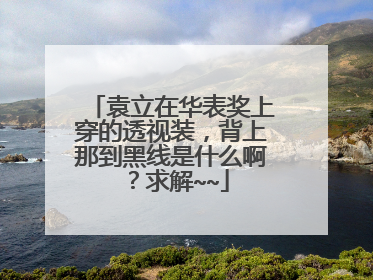 袁立在华表奖上穿的透视装，背上那到黑线是什么啊？求解~~