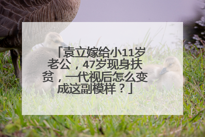 袁立嫁给小11岁老公,47岁现身扶贫,一代视后怎么变成这副模样?