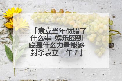 袁立当年做错了什么事 娱乐圈到底是什么力量能够封杀袁立十年？