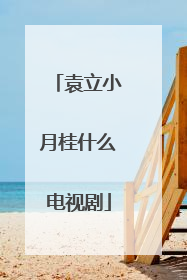 袁立小月桂什么电视剧