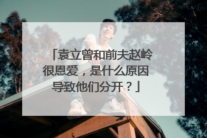 袁立曾和前夫赵岭很恩爱,是什么原因导致他们分开?