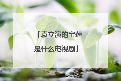 袁立演的宝莲是什么电视剧