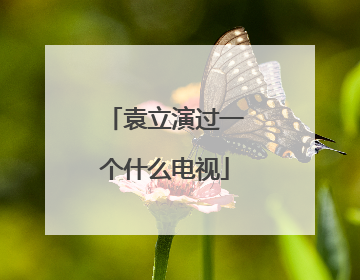 袁立演过一个什么电视