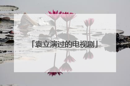 袁立演过的电视剧