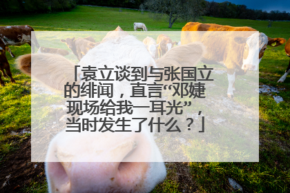 袁立谈到与张国立的绯闻,直言“邓婕现场给我一耳光”,当时发生了什么?