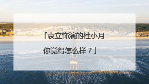 袁立饰演的杜小月你觉得怎么样?