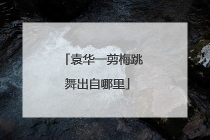 袁华一剪梅跳舞出自哪里