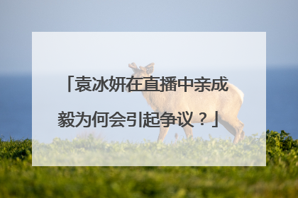 袁冰妍在直播中亲成毅为何会引起争议？