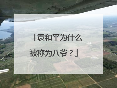 袁和平为什么被称为八爷?