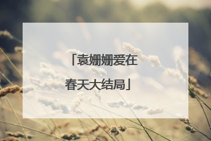 袁姗姗爱在春天大结局