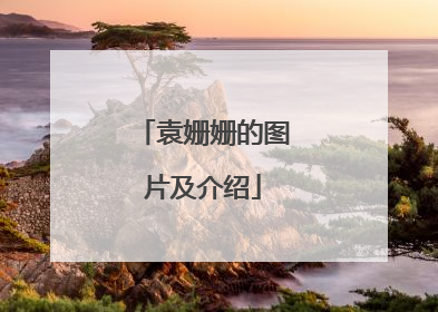 袁姗姗的图片及介绍