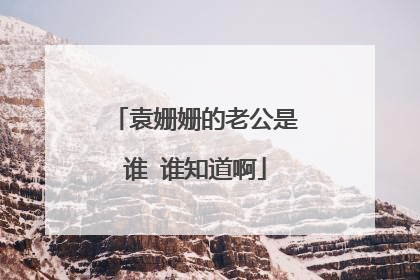 袁姗姗的老公是谁 谁知道啊