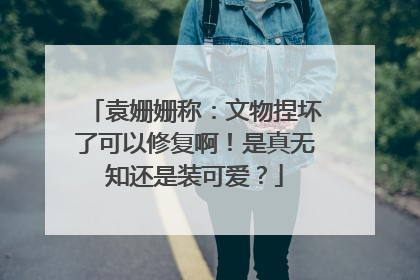 袁姗姗称：文物捏坏了可以修复啊！是真无知还是装可爱？