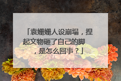 袁姗姗人设崩塌,捏起文物砸了自己的脚 ,是怎么回事?