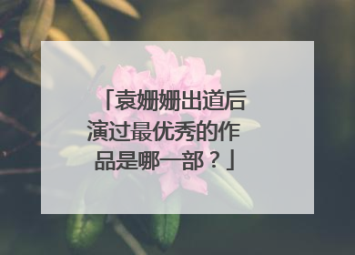 袁姗姗出道后演过最优秀的作品是哪一部？