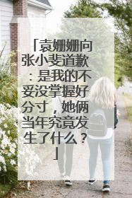 袁姗姗向张小斐道歉：是我的不妥没掌握好分寸，她俩当年究竟发生了什么？