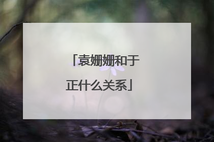 袁姗姗和于正什么关系