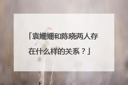 袁姗姗和陈晓两人存在什么样的关系？