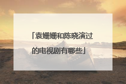 袁姗姗和陈晓演过的电视剧有哪些