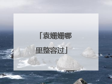 袁姗姗哪里整容过