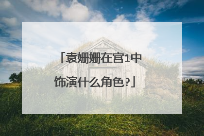 袁姗姗在宫1中饰演什么角色?