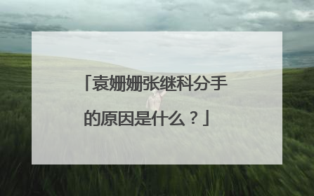 袁姗姗张继科分手的原因是什么?