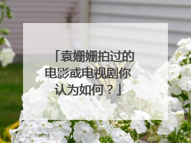 袁姗姗拍过的电影或电视剧你认为如何?