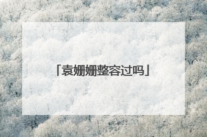 袁姗姗整容过吗