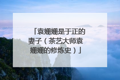 袁姗姗是于正的妻子(茶艺大师袁姗姗的修炼史)