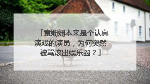 袁姗姗本来是个认真演戏的演员，为何突然被骂滚出娱乐圈？