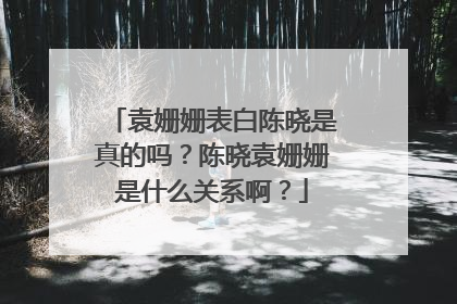 袁姗姗表白陈晓是真的吗?陈晓袁姗姗是什么关系啊?