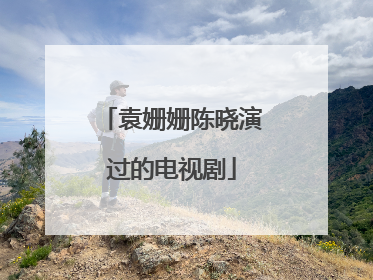 袁姗姗陈晓演过的电视剧