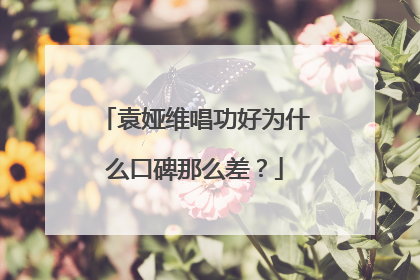 袁娅维唱功好为什么口碑那么差？