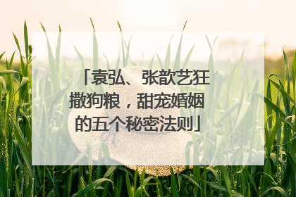 袁弘、张歆艺狂撒狗粮，甜宠婚姻的五个秘密法则