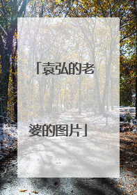 袁弘的老婆的图片