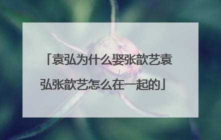 袁弘为什么娶张歆艺袁弘张歆艺怎么在一起的